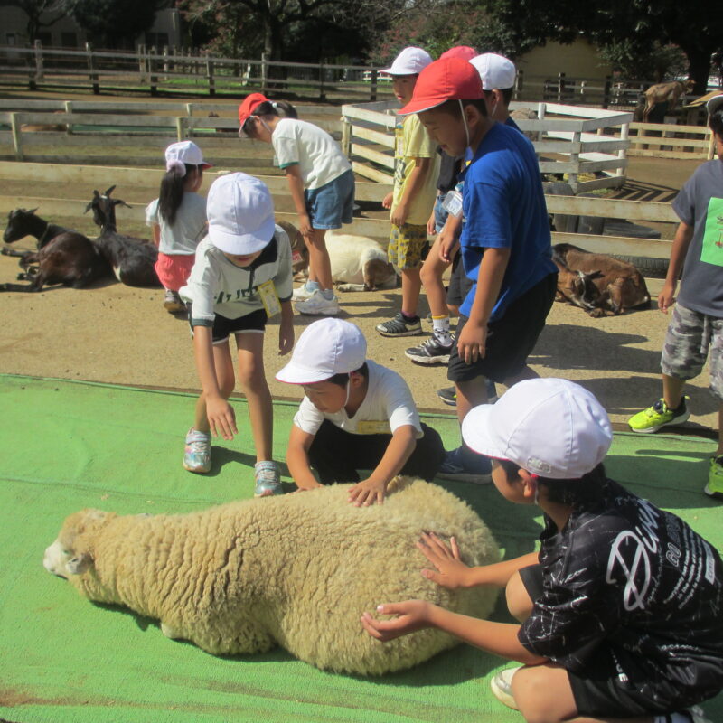 楽しかったよ！成田ゆめ牧場