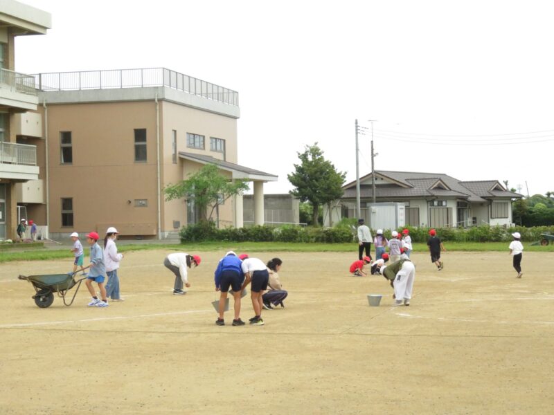 グリーン活動