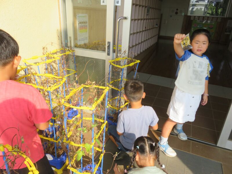 種がいっぱい！